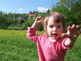 ./bilder/2010-05-23_Schamhaupten_Auswahl/2010-05-23-Schamhaupten-100_2354.jpg
