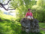 ./bilder/2010-05-23_Schamhaupten_Auswahl/2010-05-23-Schamhaupten-100_2363.jpg